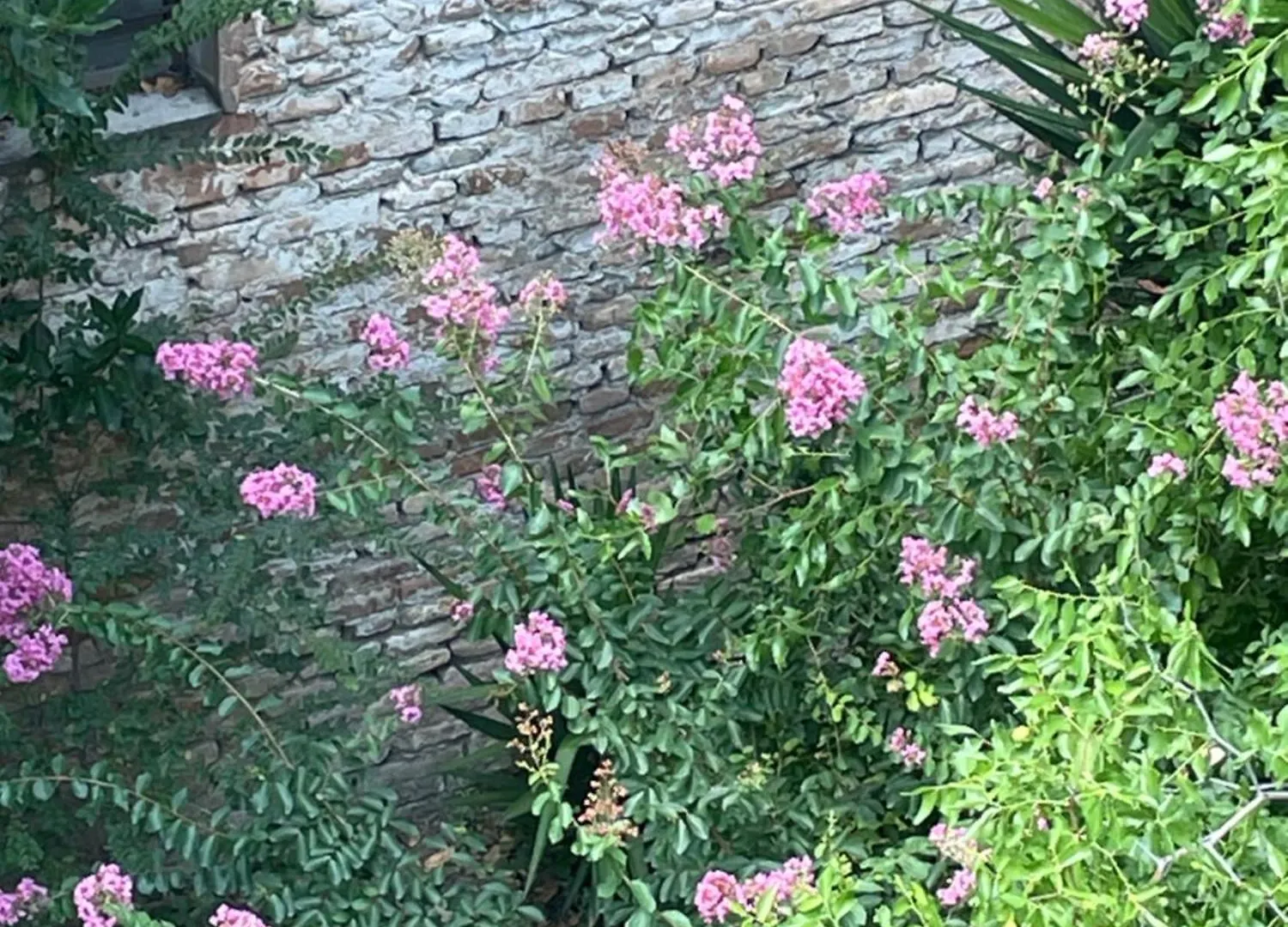 Romagna Apartments Massa Lombarda